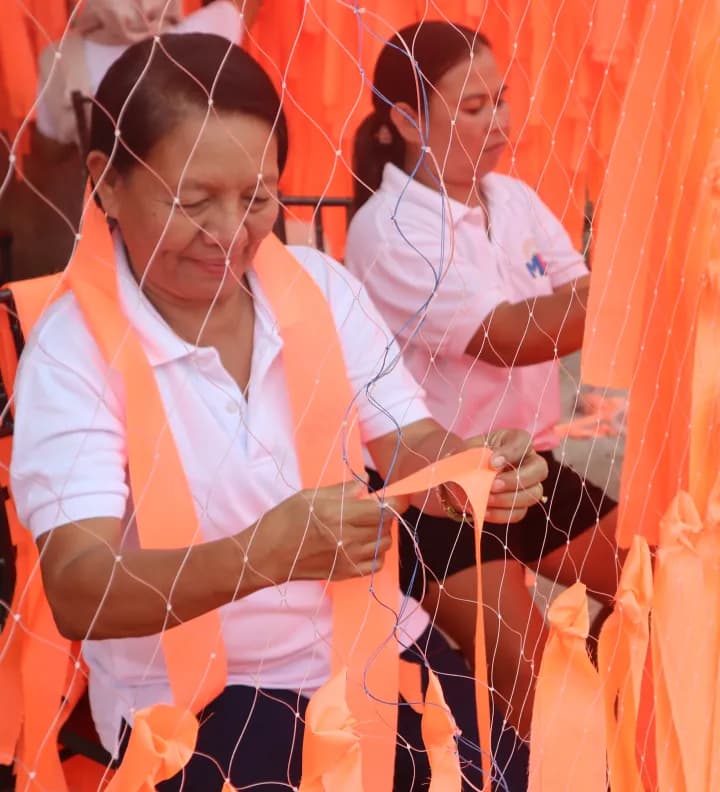 Solar panels installed in a green open area as part of a sustainability initiative.